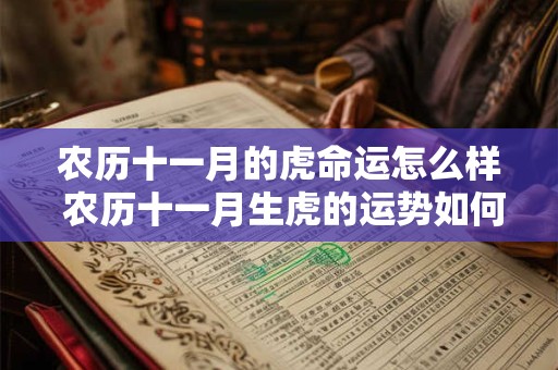 农历十一月的虎命运怎么样 农历十一月生虎的运势如何