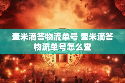 壹米滴答物流单号 壹米滴答物流单号怎么查