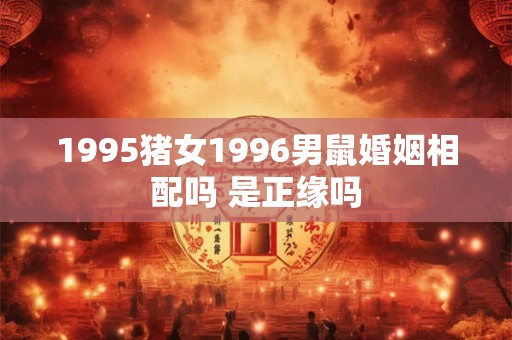 1995猪女1996男鼠婚姻相配吗 是正缘吗