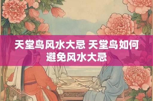 天堂鸟风水大忌 天堂鸟如何避免风水大忌