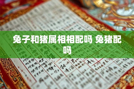 兔子和猪属相相配吗 兔猪配吗