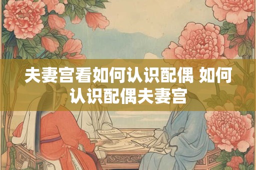 夫妻宫看如何认识配偶 如何认识配偶夫妻宫