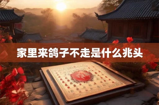 家里来鸽子不走是什么兆头