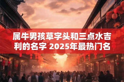 属牛男孩草字头和三点水吉利的名字 2025年最热门名字