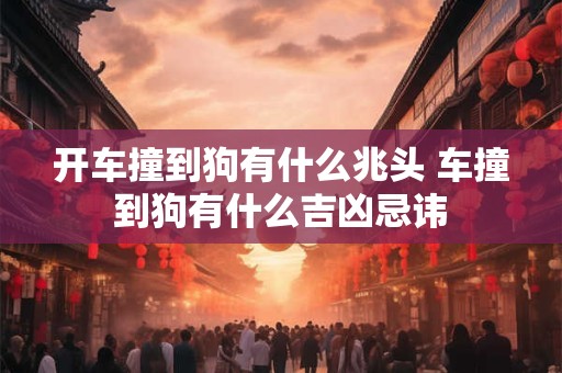 开车撞到狗有什么兆头 车撞到狗有什么吉凶忌讳