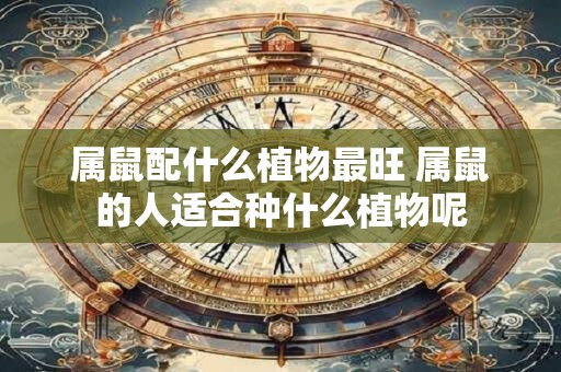属鼠配什么植物最旺 属鼠的人适合种什么植物呢