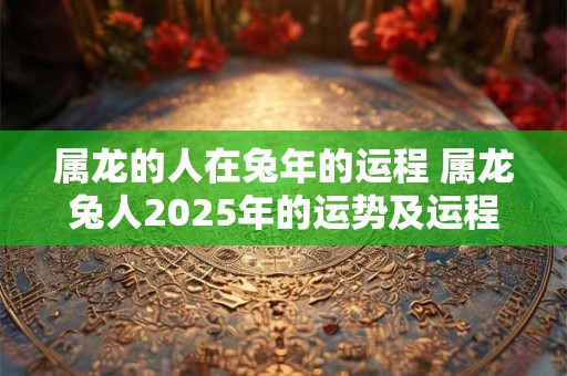 属龙的人在兔年的运程 属龙兔人2025年的运势及运程 属龙的人在兔年的运程 属龙兔人2025年的运势及运程