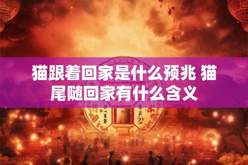 猫跟着回家是什么预兆 猫尾随回家有什么含义