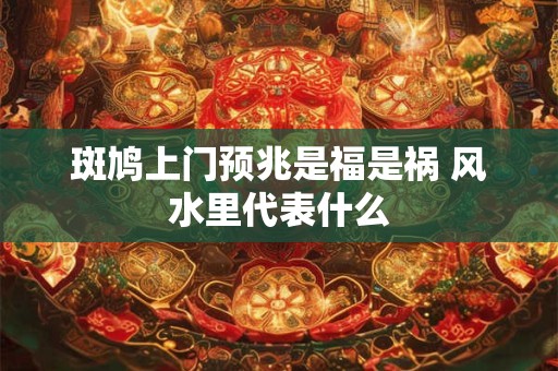 斑鸠上门预兆是福是祸 风水里代表什么