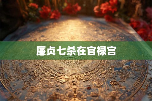 廉贞七杀在官禄宫