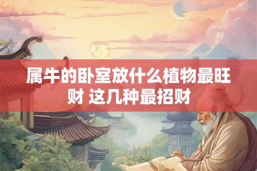 属牛的卧室放什么植物最旺财 这几种最招财