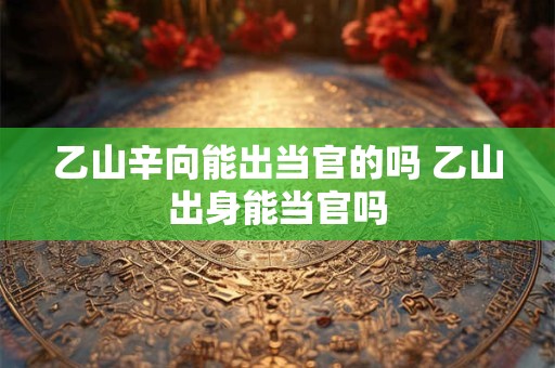 乙山辛向能出当官的吗 乙山出身能当官吗