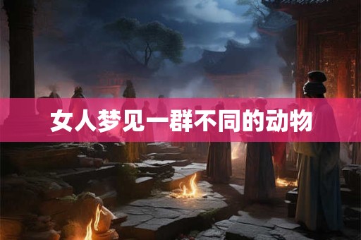 女人梦见一群不同的动物