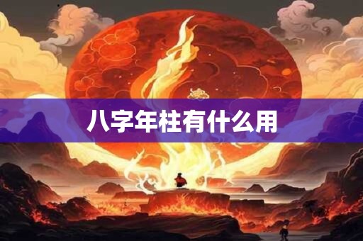 八字年柱有什么用