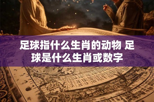 足球指什么生肖的动物 足球是什么生肖或数字