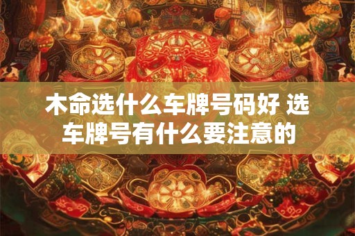 木命选什么车牌号码好 选车牌号有什么要注意的