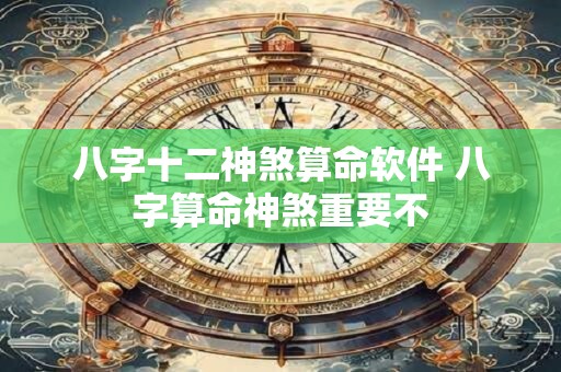 八字十二神煞算命软件 八字算命神煞重要不