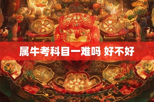 属牛考科目一难吗 好不好