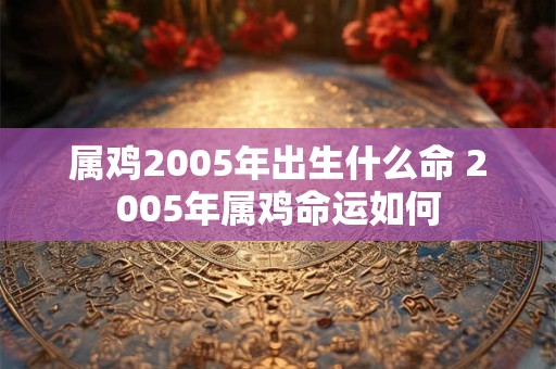属鸡2005年出生什么命 2005年属鸡命运如何