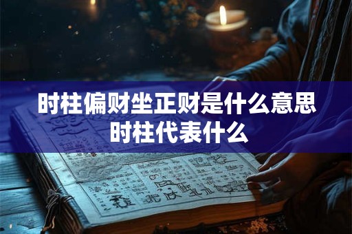 时柱偏财坐正财是什么意思 时柱代表什么