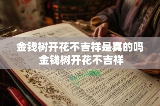 金钱树开花不吉祥是真的吗 金钱树开花不吉祥
