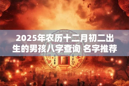 2025年农历十二月初二出生的男孩八字查询 名字推荐