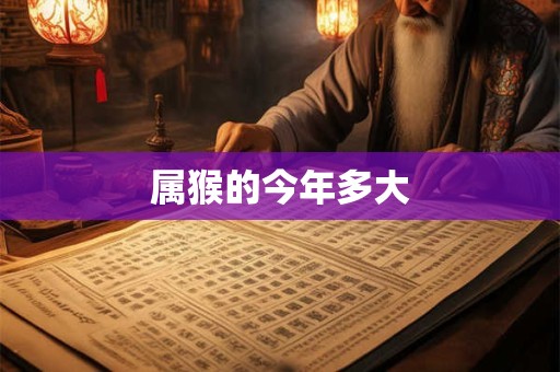 属猴的今年多大