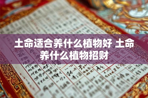 土命适合养什么植物好 土命养什么植物招财