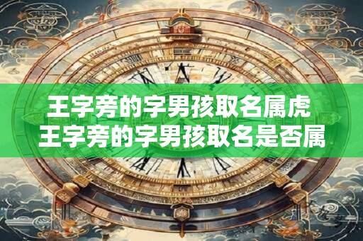 王字旁的字男孩取名属虎 王字旁的字男孩取名是否属于虎年