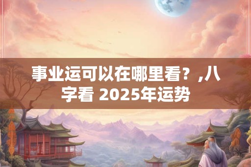 事业运可以在哪里看？,八字看 2025年运势