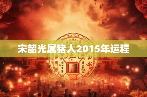 宋韶光属猪人2015年运程