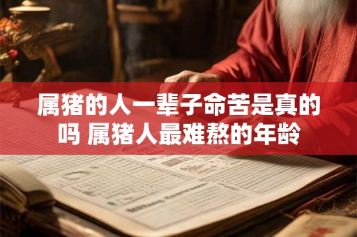 属猪的人一辈子命苦是真的吗 属猪人最难熬的年龄
