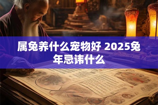 属兔养什么宠物好 2025兔年忌讳什么 属兔养什么宠物好 2025兔年忌讳什么