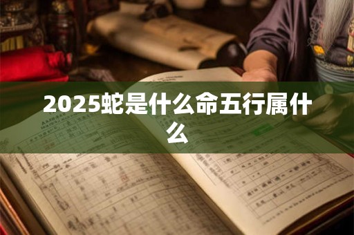 2026蛇是什么命五行属什么
