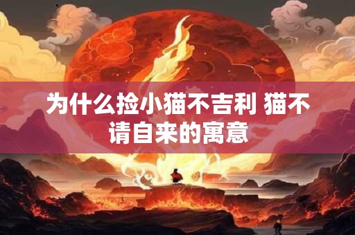 为什么捡小猫不吉利 猫不请自来的寓意 为什么捡小猫不吉利 猫不请自来的寓意