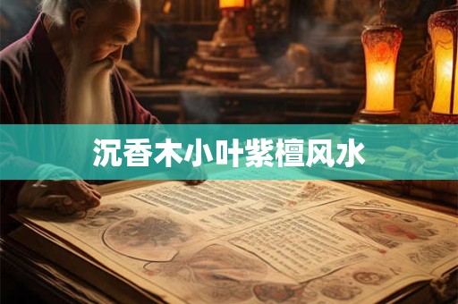 沉香木小叶紫檀风水
