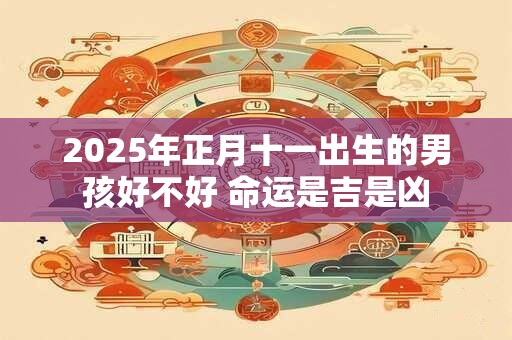2025年正月十一出生的男孩好不好 命运是吉是凶