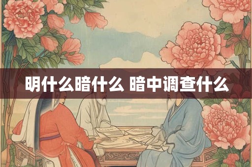 明什么暗什么 暗中调查什么