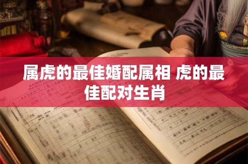 属虎的最佳婚配属相 虎的最佳配对生肖 属虎的最佳婚配属相 虎的最佳配对生肖