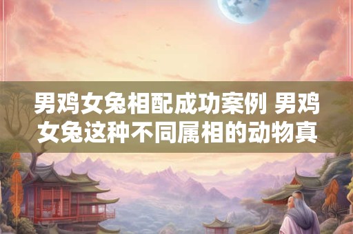 男鸡女兔相配成功案例 男鸡女兔这种不同属相的动物真的可以成功配对吗 男鸡女兔相配成功案例 男鸡女兔这种不同属相的动物真的可以成功配对吗