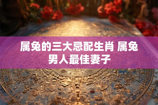属兔的三大忌配生肖 属兔男人最佳妻子
