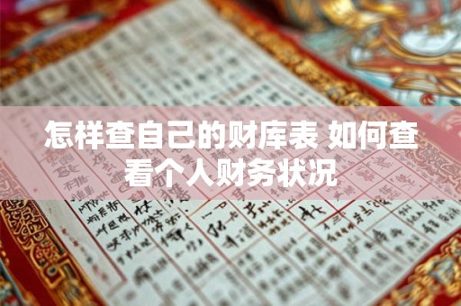 怎样查自己的财库表 如何查看个人财务状况