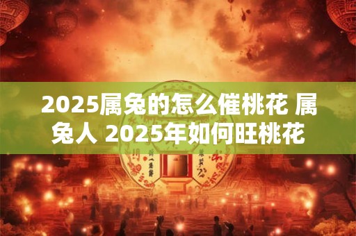 2025属兔的怎么催桃花 属兔人 2025年如何旺桃花