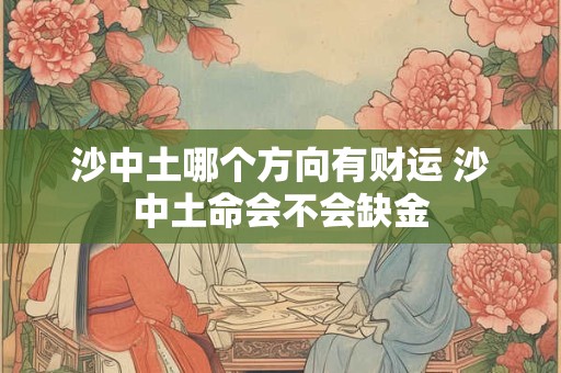 沙中土哪个方向有财运 沙中土命会不会缺金