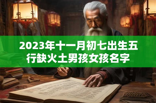 2023年十一月初七出生五行缺火土男孩女孩名字