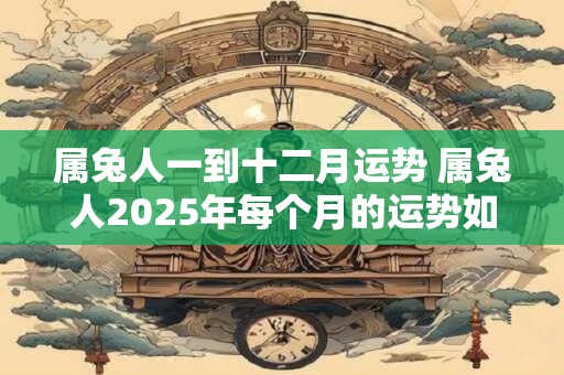 属兔人一到十二月运势 属兔人2025年每个月的运势如何