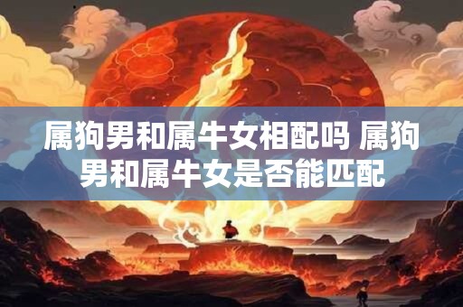 属狗男和属牛女相配吗 属狗男和属牛女是否能匹配