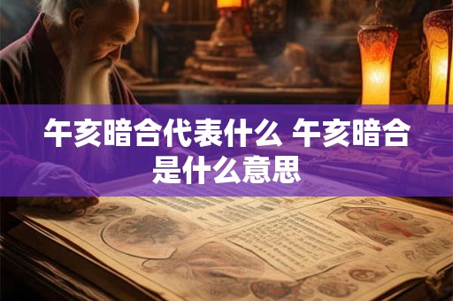 午亥暗合代表什么 午亥暗合是什么意思 午亥暗合代表什么 午亥暗合是什么意思
