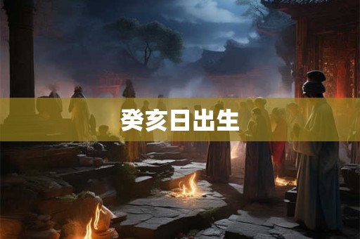 癸亥日出生