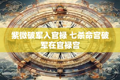 紫微破军入官禄 七杀命宫破军在官禄宫